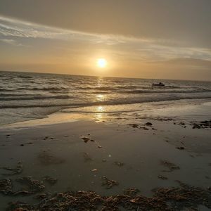 Meet your Posher, Francis